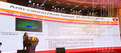 上卿臻盞創始人受邀參加國際燕窩認證研討會，共襄全球燕窩文化學術交流盛舉