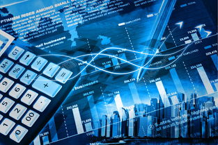 網(wǎng)絡(luò)與信息安全軟件開(kāi)發(fā) 守護(hù)數(shù)字時(shí)代的防護(hù)盾